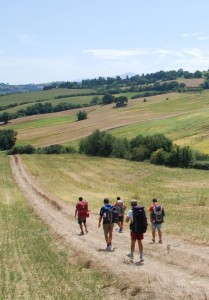 3-Andrea Coacci-Pellegrinaggio Andrea Coacci, pellegrino