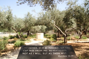 Il Getsemani a Gersusalemme