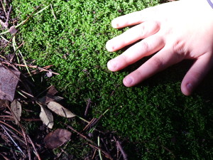 foto_educazione_ambientale