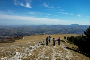 Foto Marilena Evangelista