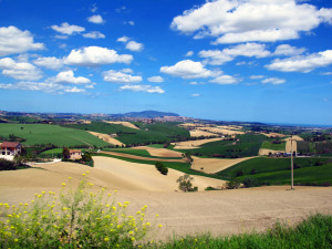 6973271296_6ec2377f29_b