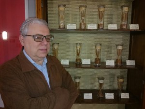 IMG_20160601_084644 Il prof. Sandro Petrucci (Foto Andrea Mozzoni)