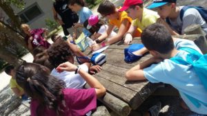 centriestivi_3 Grest SS. Crocifisso