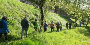 macerata-cammina-nel-verde-660x330