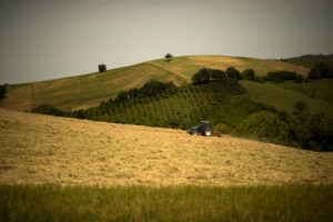 Falcade-19° Campionato nazionale di sci -Diavolina Cup