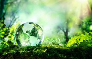 xambiente-grande-resized-755x491.jpg.pagespeed.ic.m4Hw435XI3