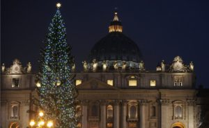 albero-san-pietro-vaticano-natale