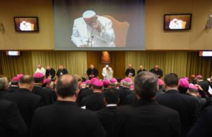 papa sinodo amazzonia