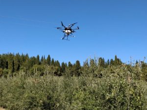 DRONI PHOTO-2019-11-21-09-29-28 (1)