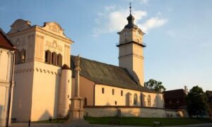 Amazonia2-800x445-755x445