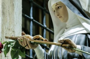 Amazonia2-800x445-755x445