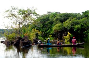 Brasile-Amazzonia-755x491