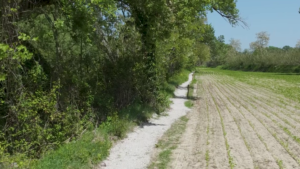 vlcsnap-2024-05-02-18h45m02s588