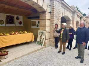 Mostra Pomologica (1)