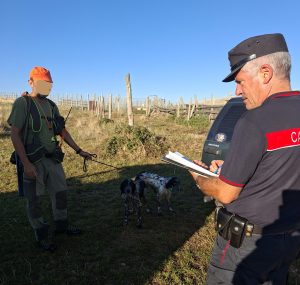 cc forestale corvo